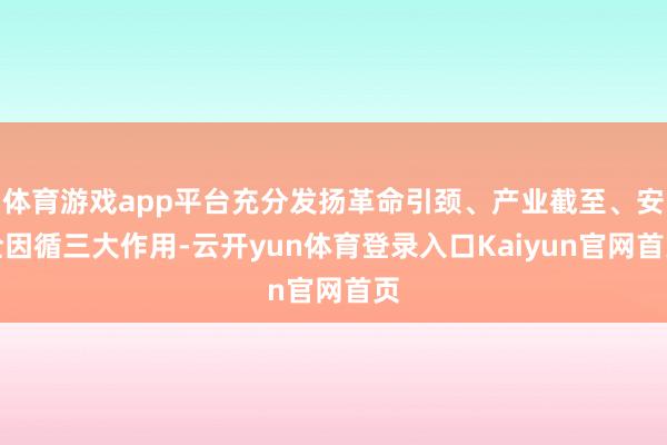 体育游戏app平台充分发扬革命引颈、产业截至、安全因循三大作用-云开yun体育登录入口Kaiyun官网首页