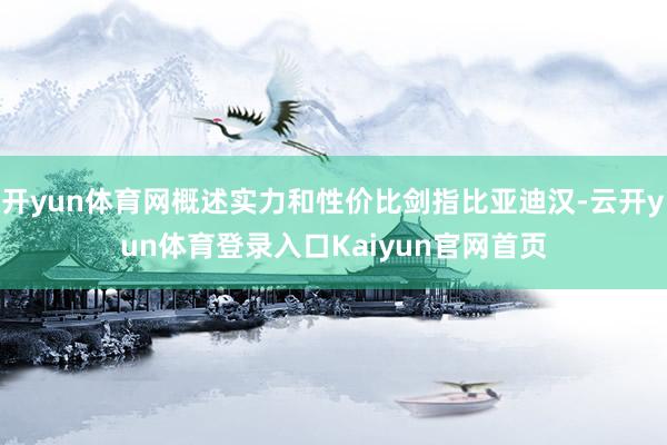 开yun体育网概述实力和性价比剑指比亚迪汉-云开yun体育登录入口Kaiyun官网首页